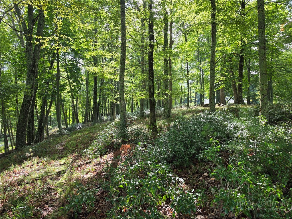 286 Roe Hunt Road Laurel Springs, NC 28644 - Photo 41 of 49 Gallery Image 41