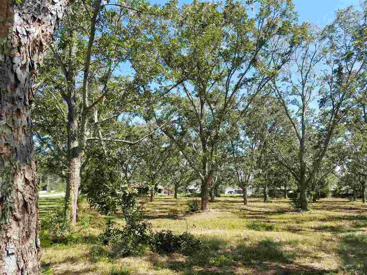 0 West Peachtree Avenue Foley, AL 36535 - Photo 4 of 9