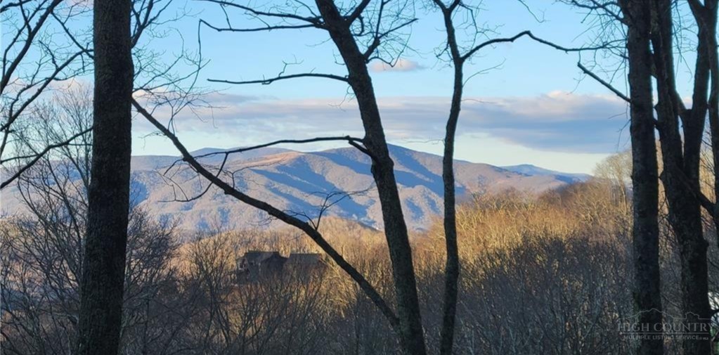 G56 Sky Camp Road Banner Elk, NC 28604 - Photo 2 of 11 Gallery Image 2