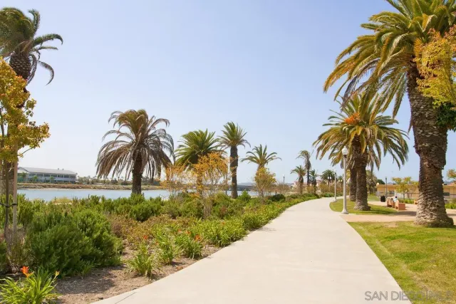 a view of beach and palm trees
