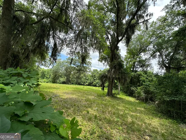 $250,000 | 0 Highway 21, Port Wentworth, GA 31407