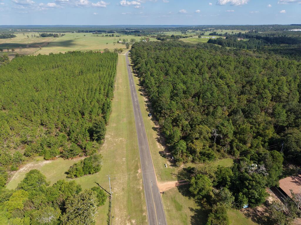 -6.17 Acres) Pineknot Road Box Springs, GA 31801 - Photo 4 of 11 Gallery Image 4
