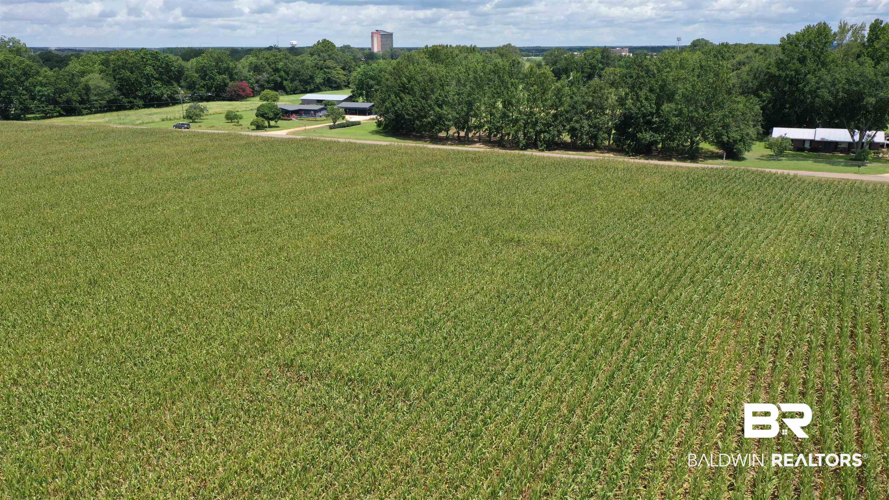 3 Highway 21 Atmore, AL 36502 - Photo 16 of 18 Birds eye view of property