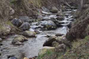 108 Sam Miller Road Erwin, TN 37650 - Photo 3 of 43 20211231182148417382000000