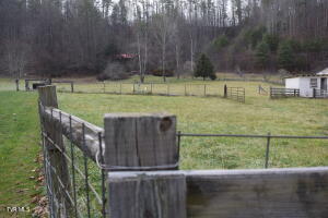 108 Sam Miller Road Erwin, TN 37650 - Photo 38 of 43 20211231182359107346000000