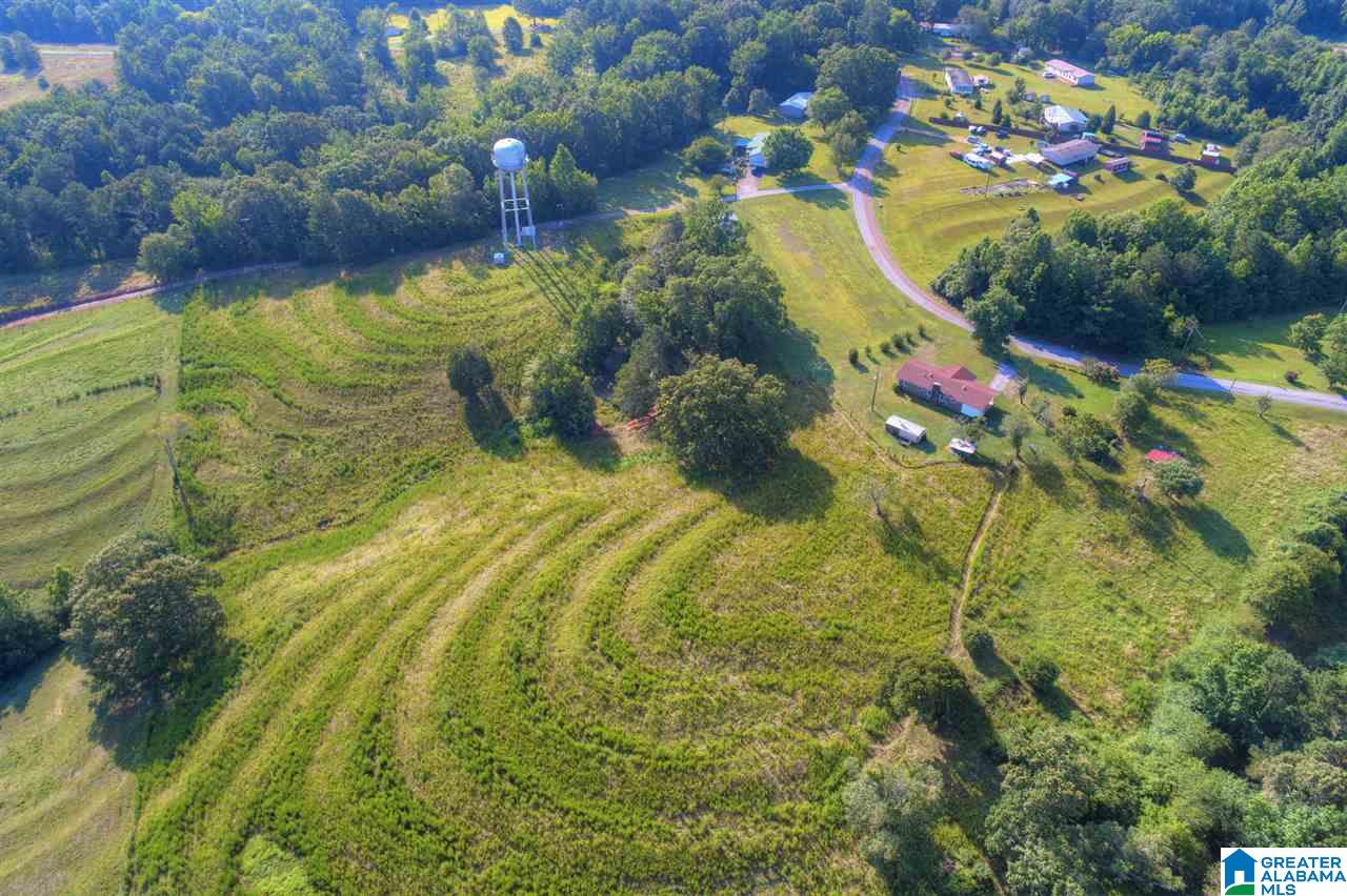 1164 Lamon Chapel Loop Jasper, AL 35503 - Photo 19 of 30