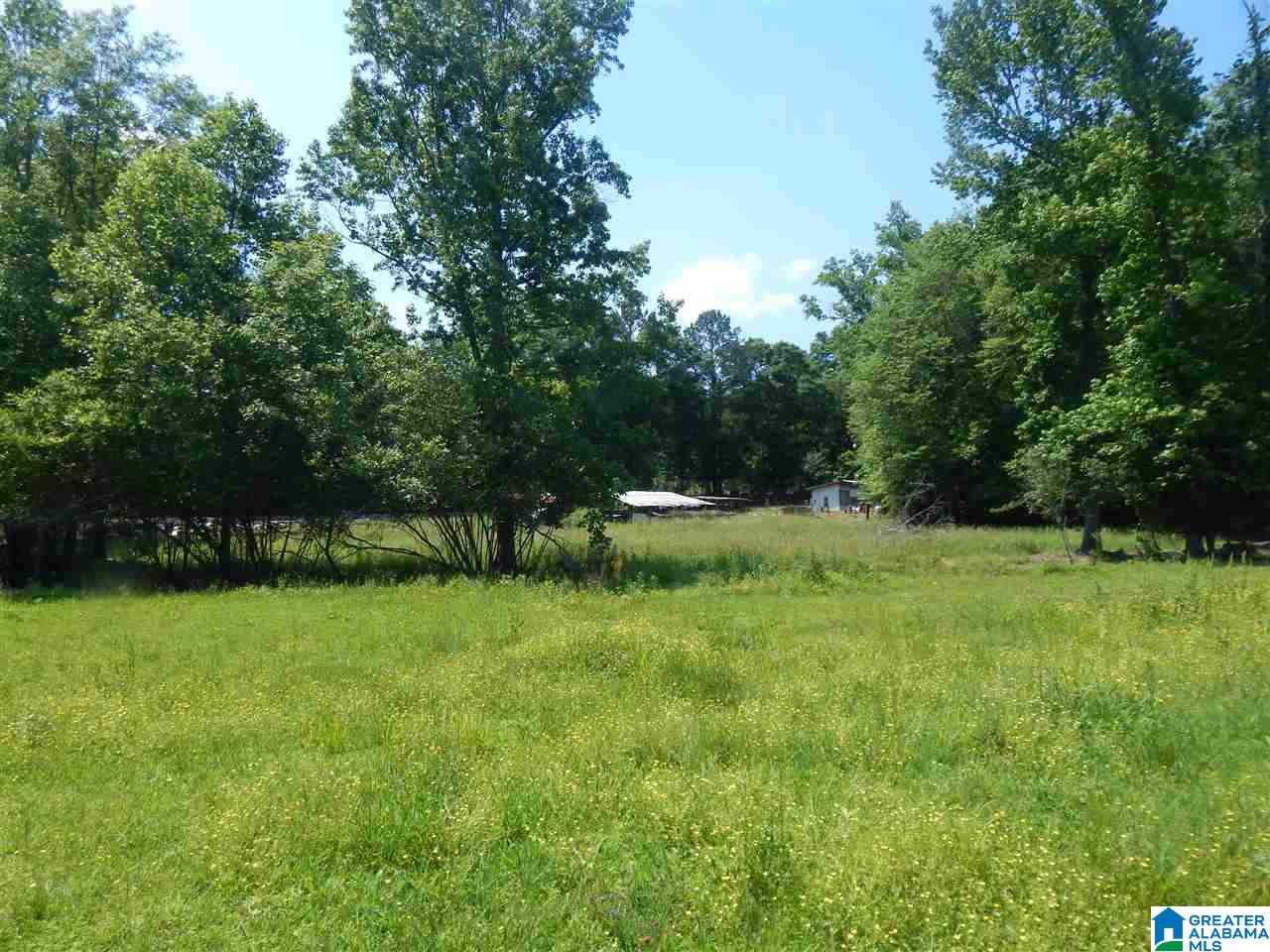 417 Old Stagecoach Road Woodstock, AL 35188 - Photo 10 of 17