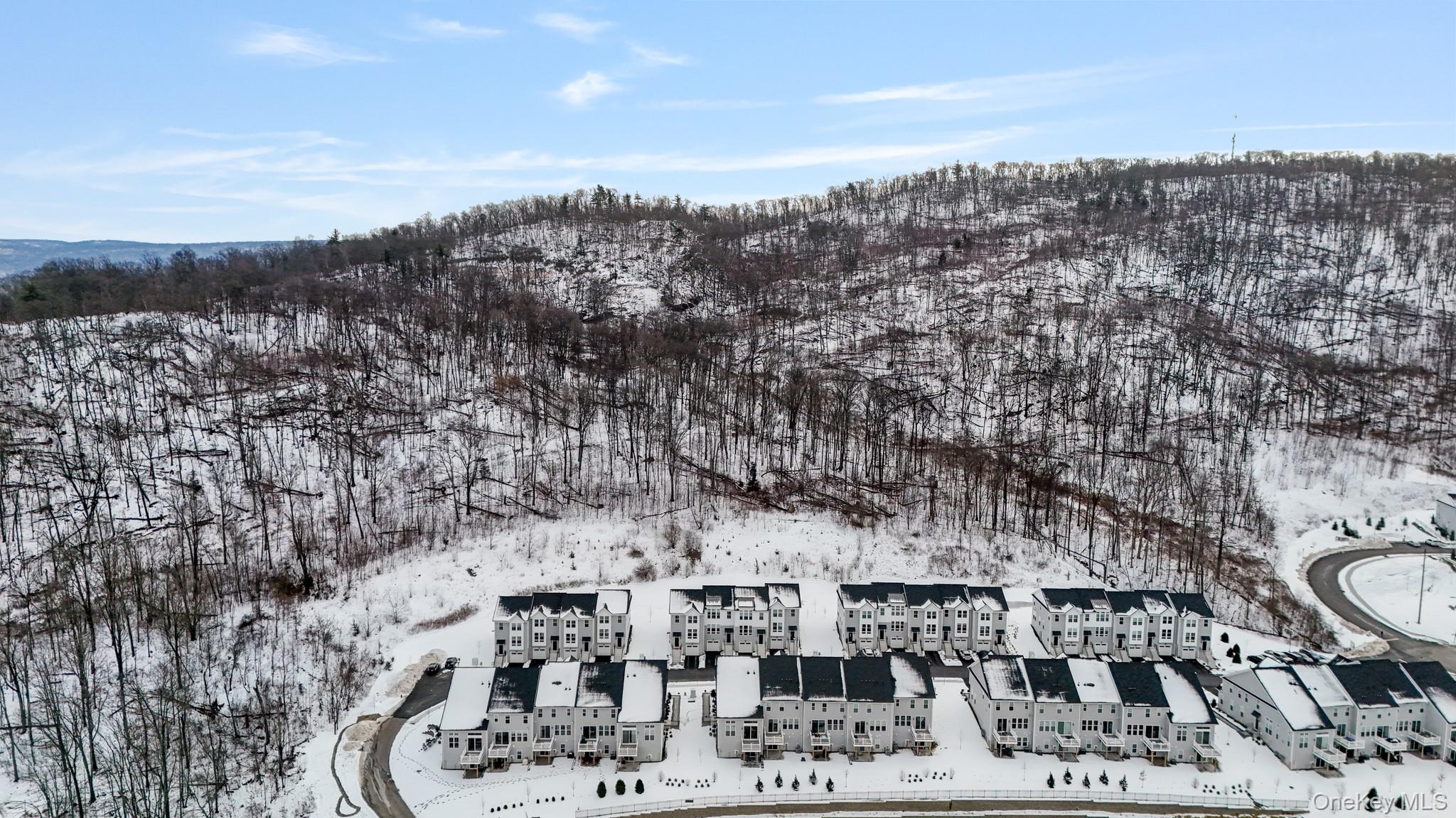 4034 Chestnut Rdg Road, Unit 62 Fishkill, NY 12524 - Photo 4 of 31 Snowy aerial view with a mountain view