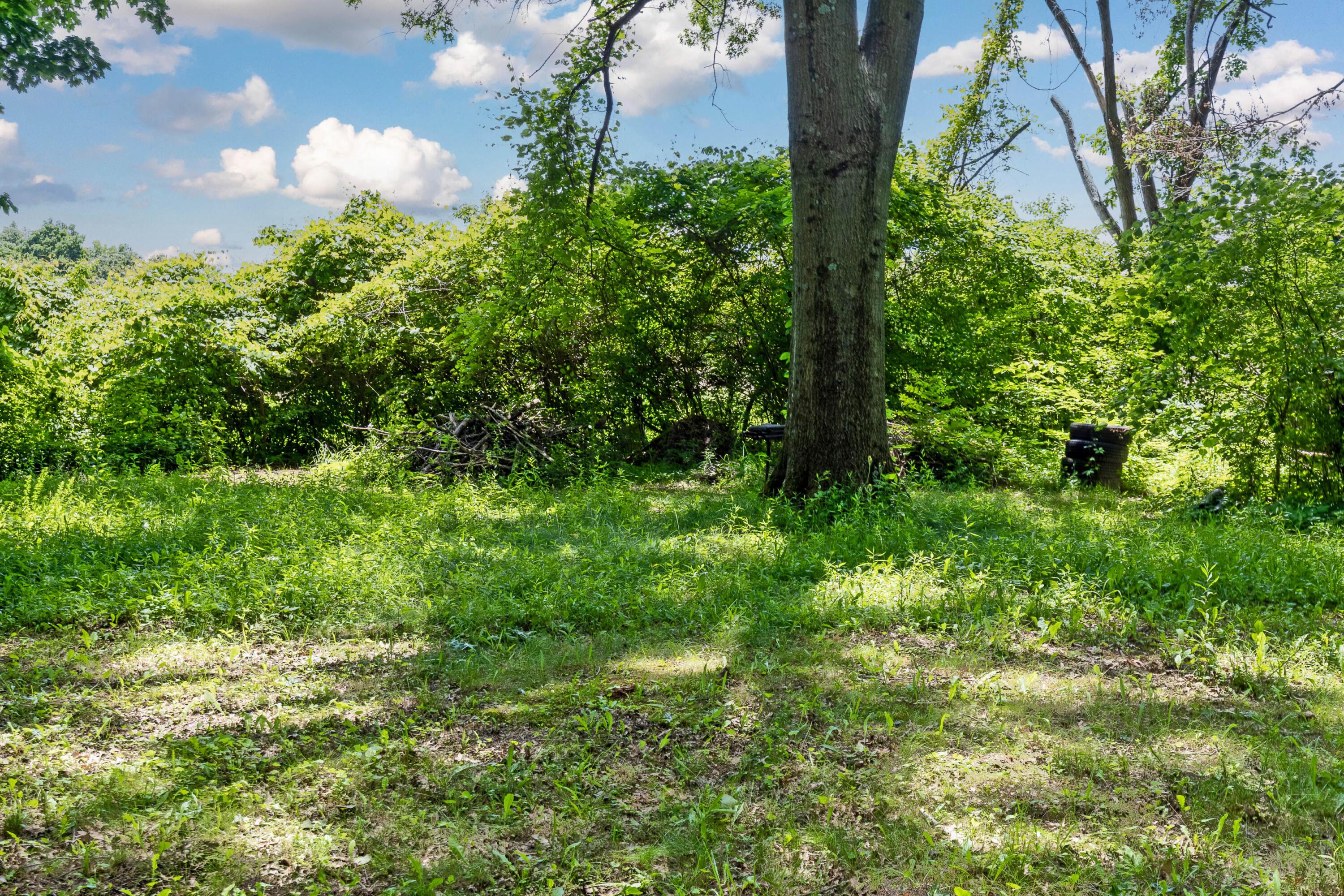 209 Greenbrier Road Sunbury, OH 43074 - Photo 21 of 73 22-print-209GreenbrierRoadExt_Hommati102