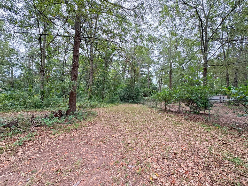 4705 Cayman Street Sumter, SC 29154 - Photo 4 of 9 Gallery Image 4