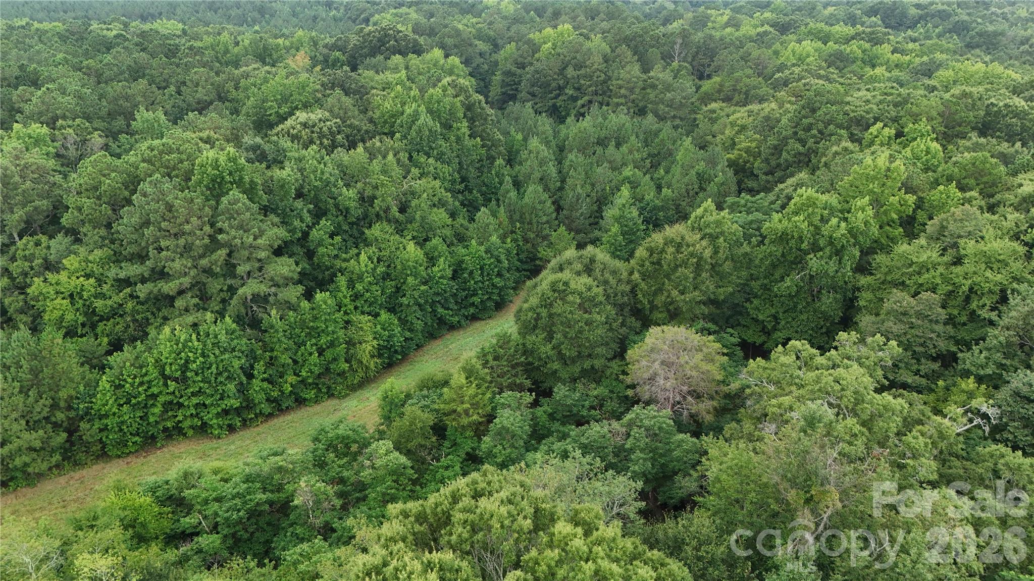 0 West Chappell Road McConnells, SC 29726 - Photo 15 of 35 Gallery Image 15