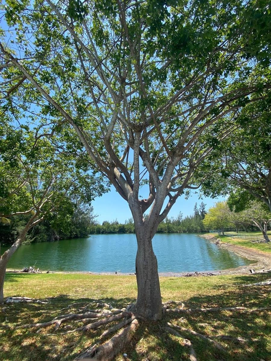 8200 Southwest 210th Street, Unit 103 Cutler Bay, FL 33189 - Photo 19 of 19 a lake view with a tree