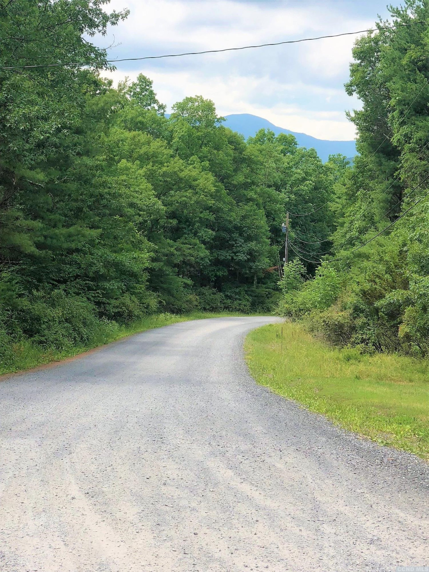 74 Paradise Lake Road Catskill, NY 12414 - Photo 2 of 10 Photo 2