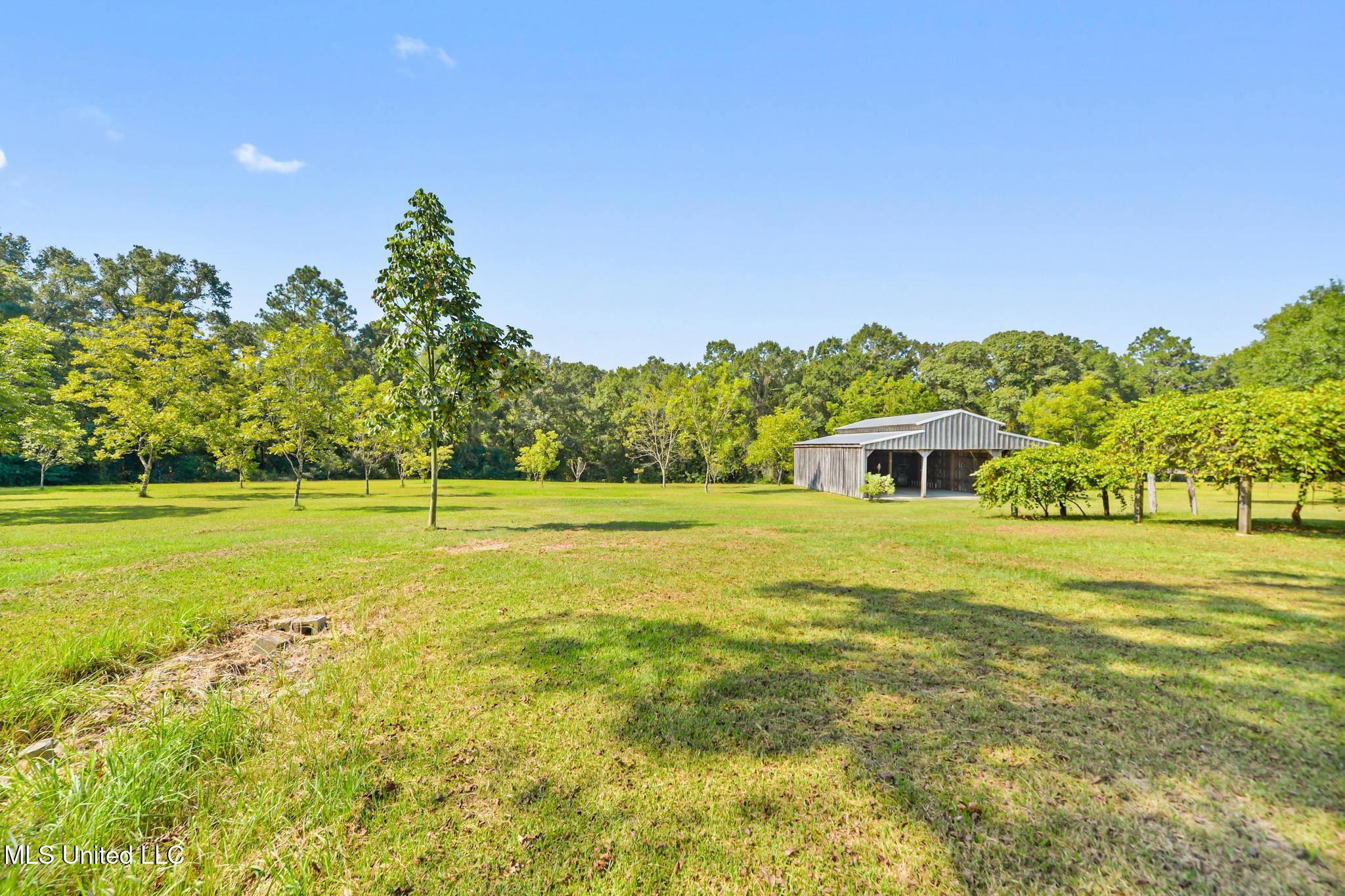 3281 Main Street Lucedale, MS 39452 - Photo 31 of 45 031