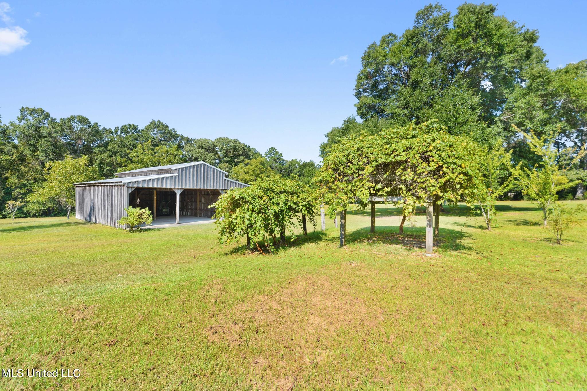 3281 Main Street Lucedale, MS 39452 - Photo 32 of 45 032