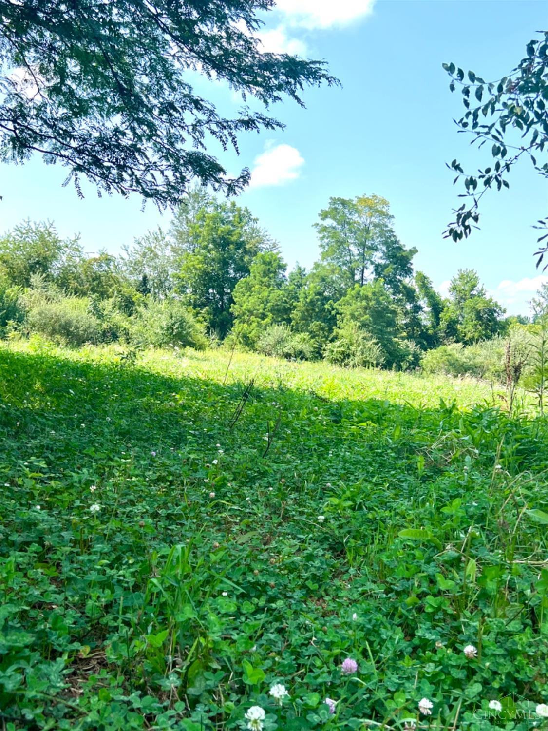 0 Brier Ridge Road West Union, OH 45693 - Photo 14 of 98