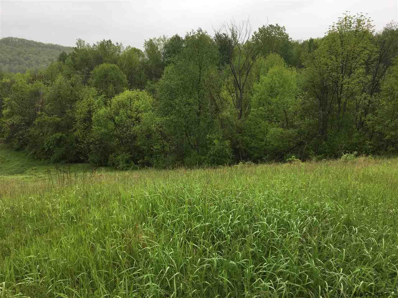 397 Liebig Road Hebron, NY 12832 - Photo 1 of 5 Photo 1