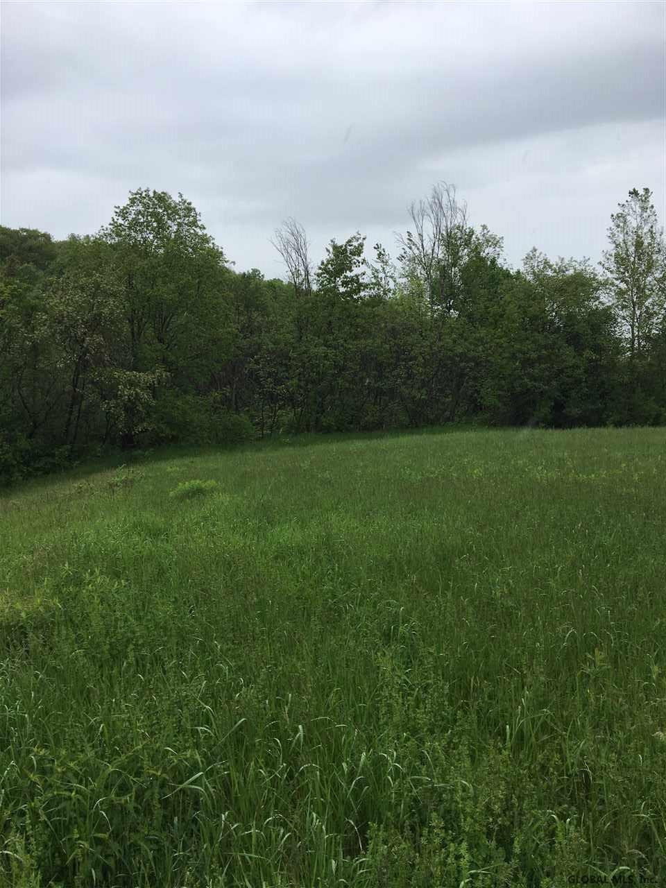 397 Liebig Road Hebron, NY 12832 - Photo 3 of 5 Photo 3