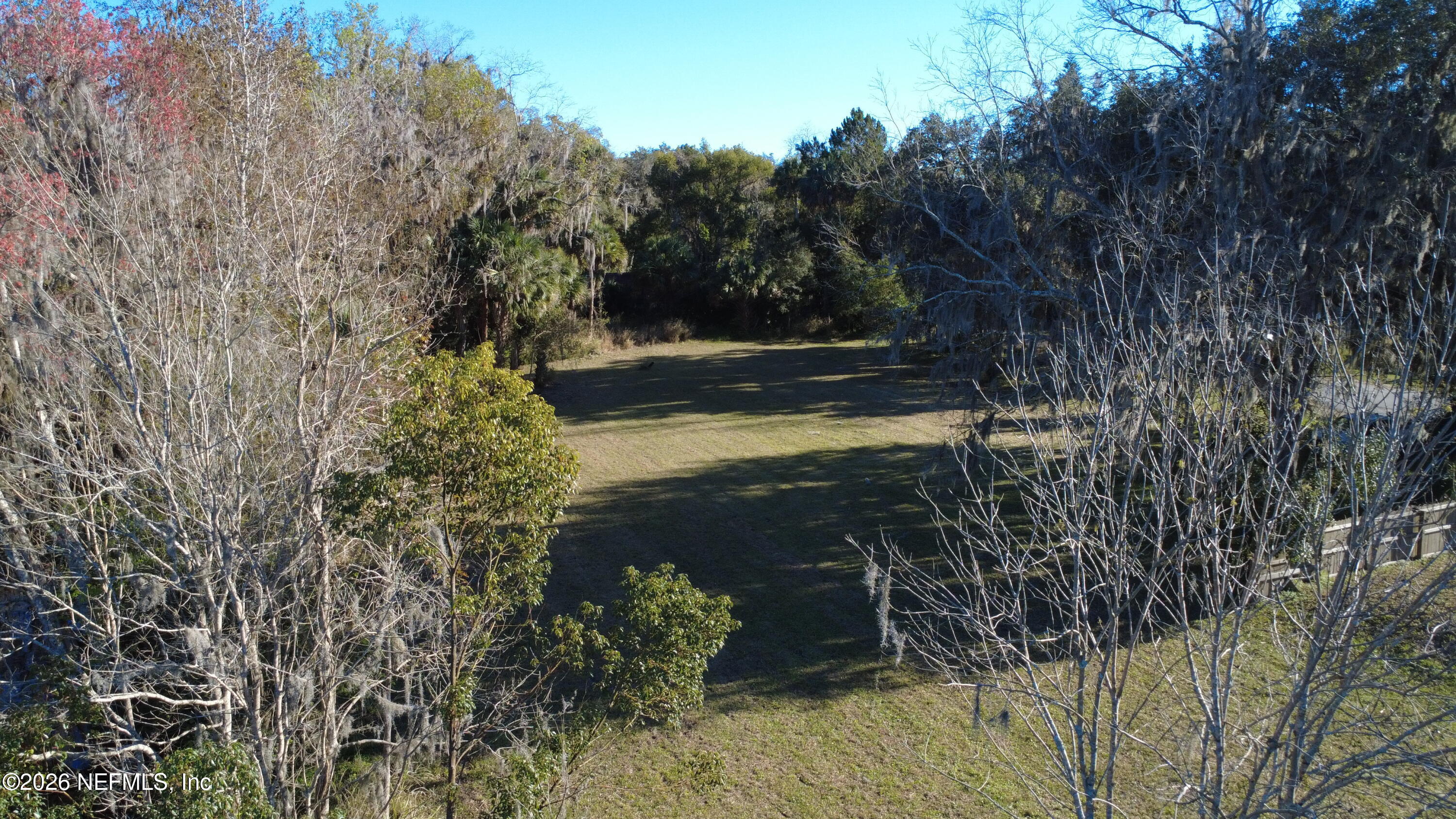 0 Weerts Road San Mateo, FL 32187 - Photo 5 of 8 a view of a yard with plants and large trees