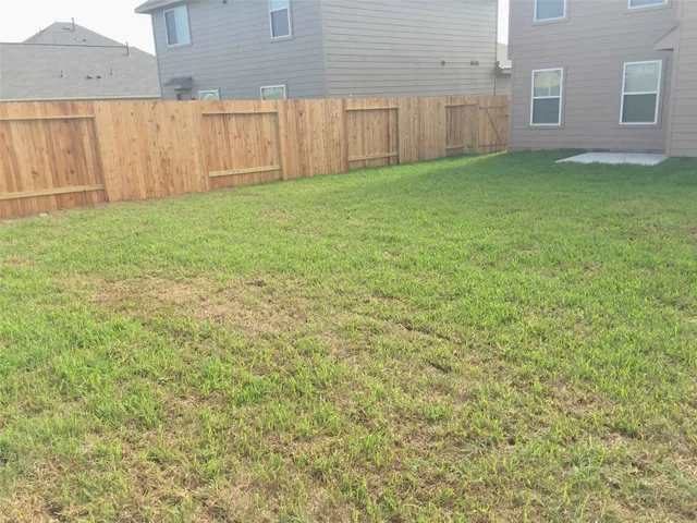 a view of a backyard with plants