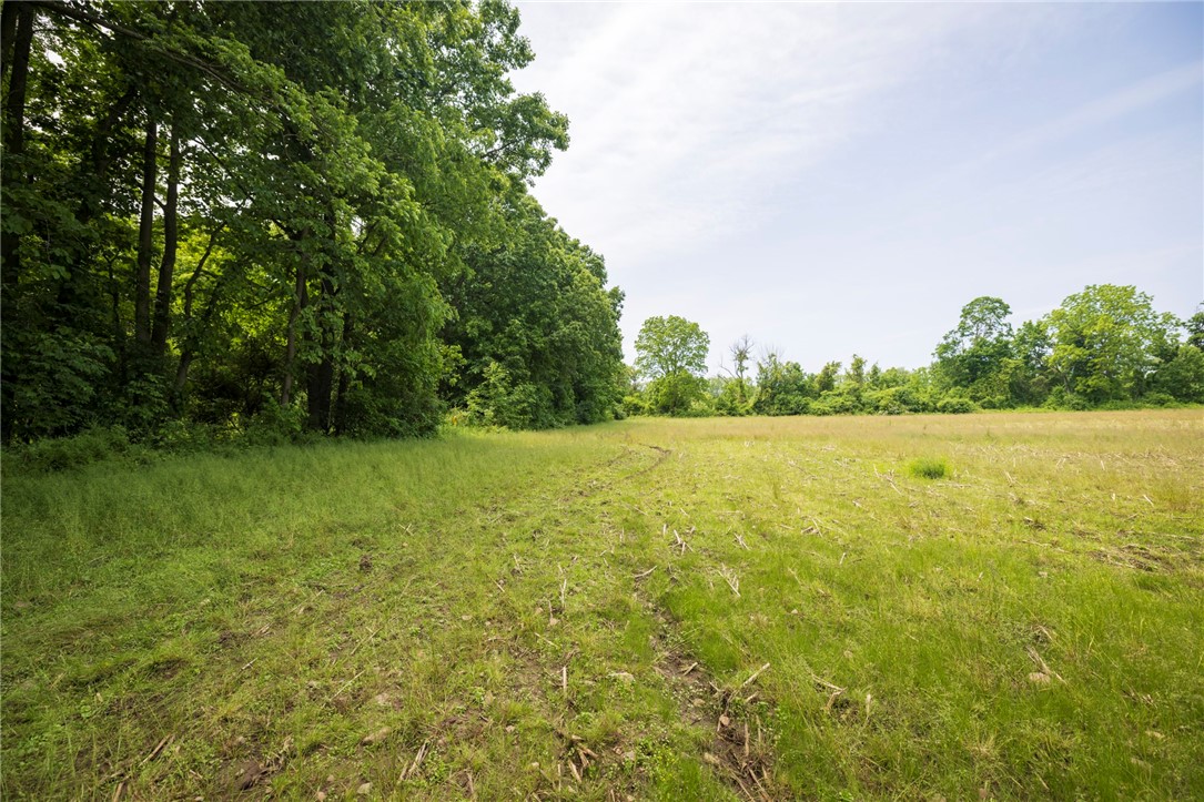 Rush Scottsville Road Rush, NY 14543 - Photo 11 of 12