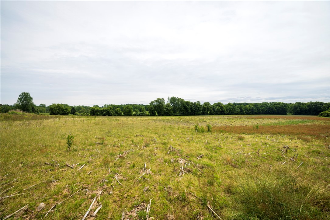 Rush Scottsville Road Rush, NY 14543 - Photo 5 of 12