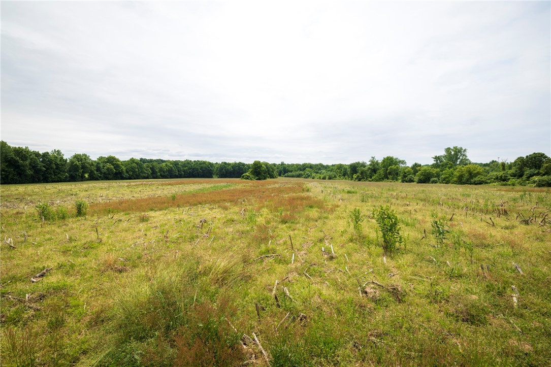 Rush Scottsville Road Rush, NY 14543 - Photo 6 of 12