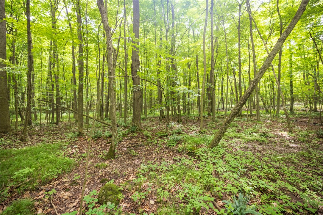 Rush Scottsville Road Rush, NY 14543 - Photo 9 of 12