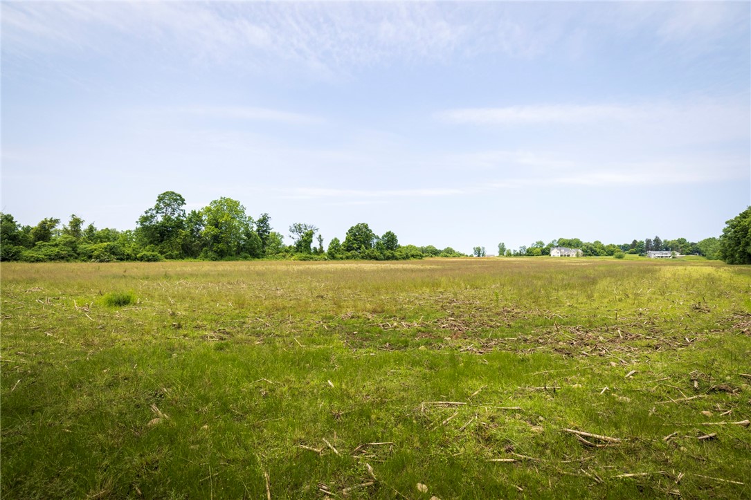 Rush Scottsville Road Rush, NY 14543 - Photo 10 of 12