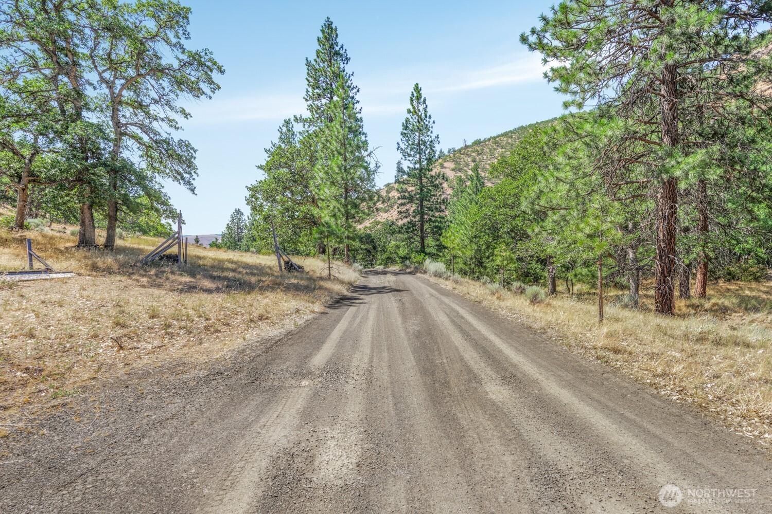 0 4181100000700th Goldendale, WA 98620 - Photo 2 of 27 a view of a yard with plants and trees