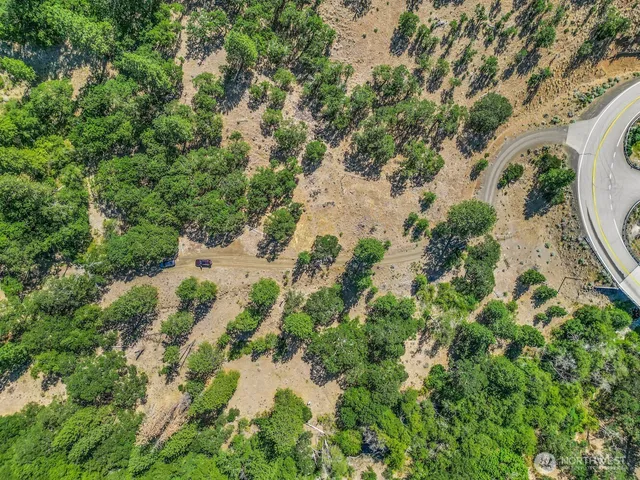 an aerial view of mountain with trees in the background