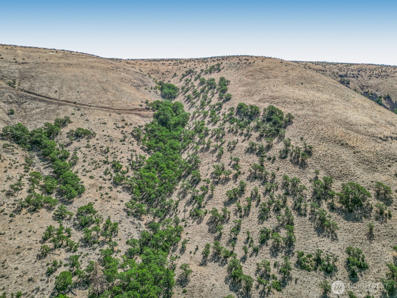 0 4181100000700th Goldendale, WA 98620 - Photo 23 of 27 an aerial view of mountain with trees in the background
