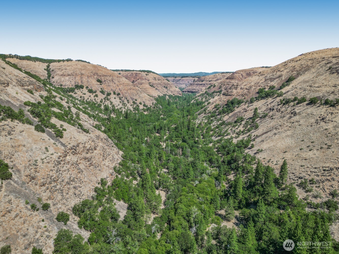 0 4181100000700th Goldendale, WA 98620 - Photo 24 of 27 a view of a mountain in the distance in a field