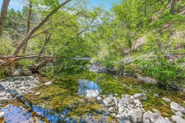 a view of a tree with a yard