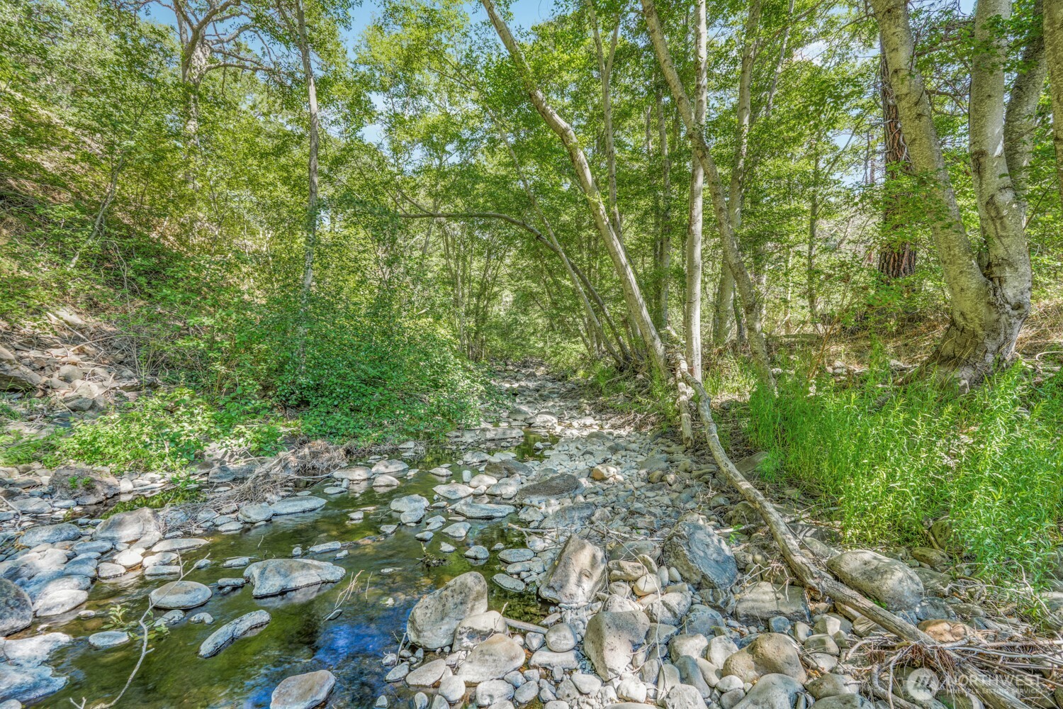 0 4181100000700th Goldendale, WA 98620 - Photo 5 of 27 a view of a yard with plants and large trees