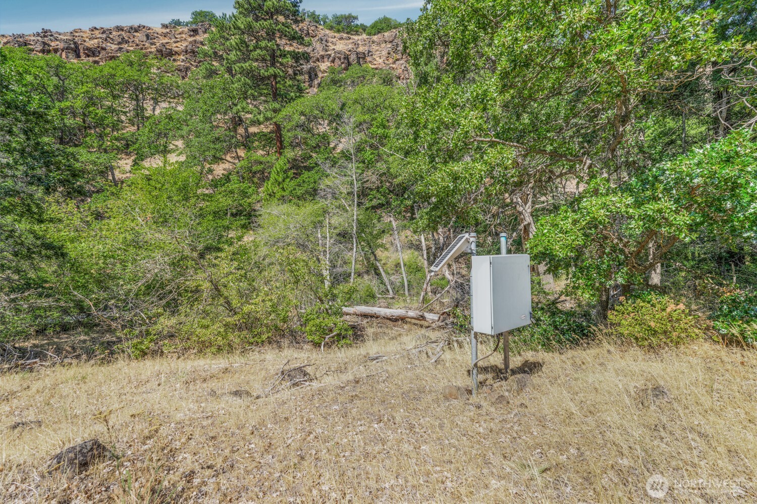 0 4181100000700th Goldendale, WA 98620 - Photo 7 of 27 a lawn chair sitting in a yard with large trees