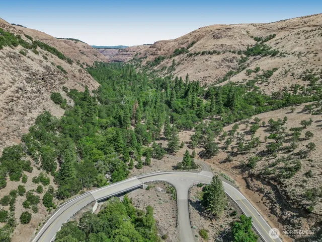 a view of a mountain with a mountain and a forest