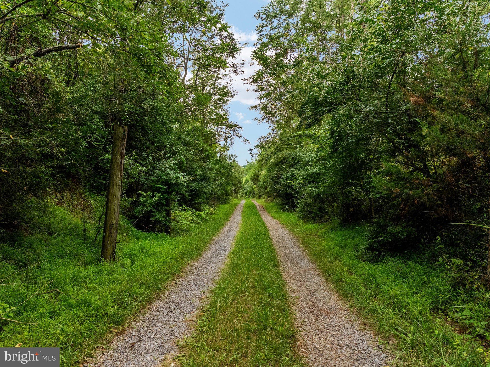 Lot 15 Rest Church Road Clear Brook, VA 22624 - Photo 27 of 29 Serene path through lush greenery awaits.