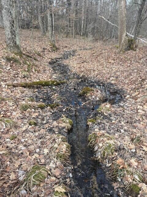 4 4 Mile Road Evart, MI 49631 - Photo 4 of 30