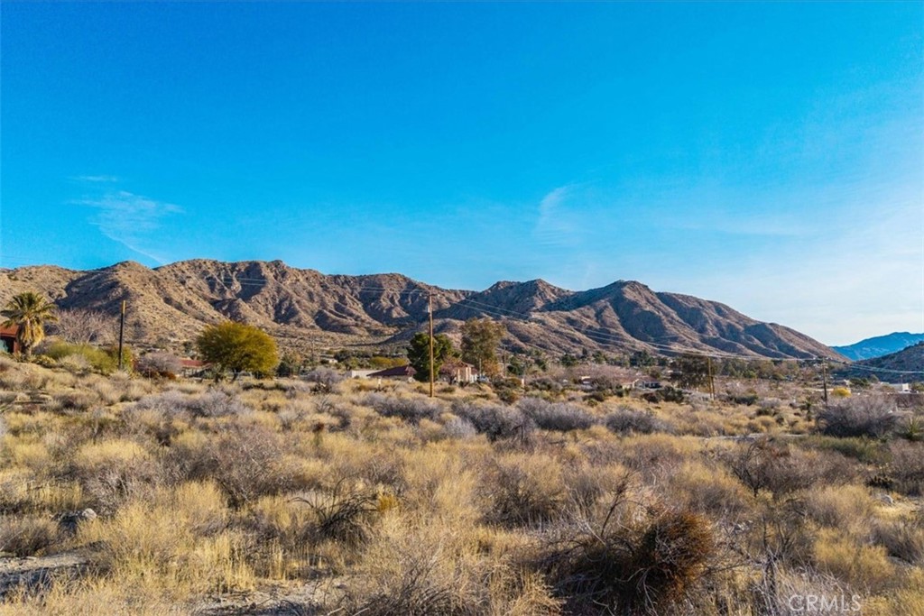 0 Palo Verde Road Morongo Valley, CA 92256 - Photo 1 of 41