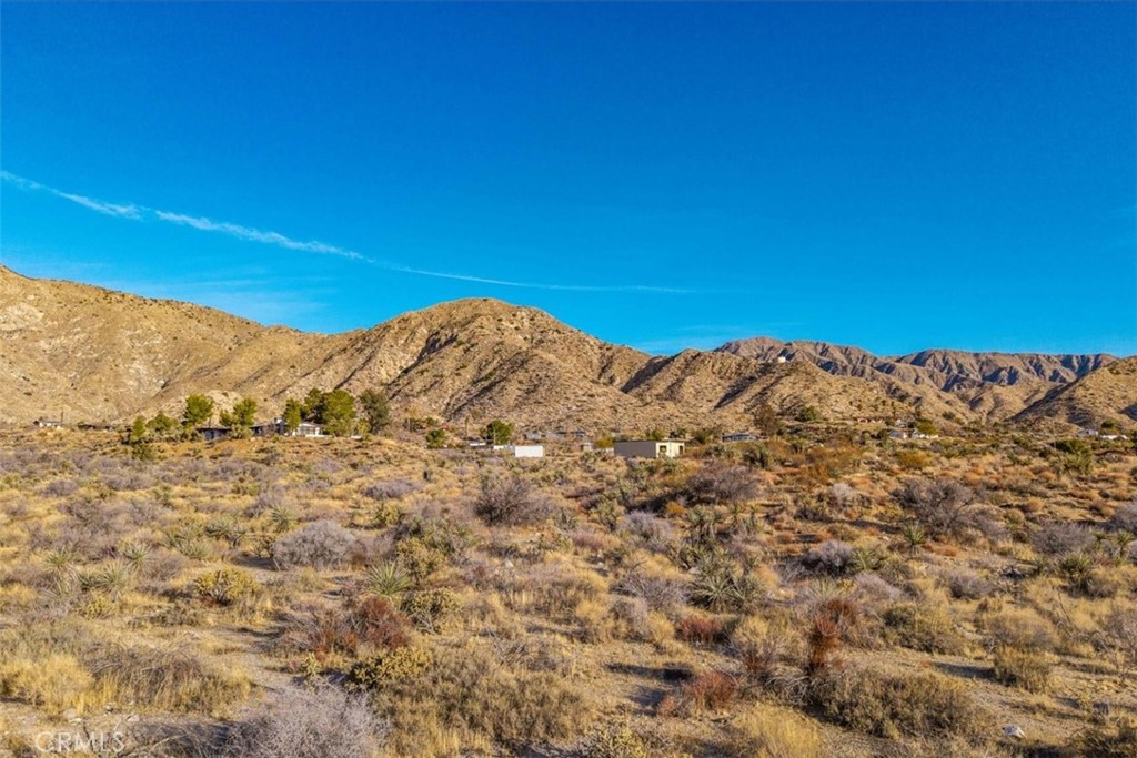 0 Palo Verde Road Morongo Valley, CA 92256 - Photo 16 of 41