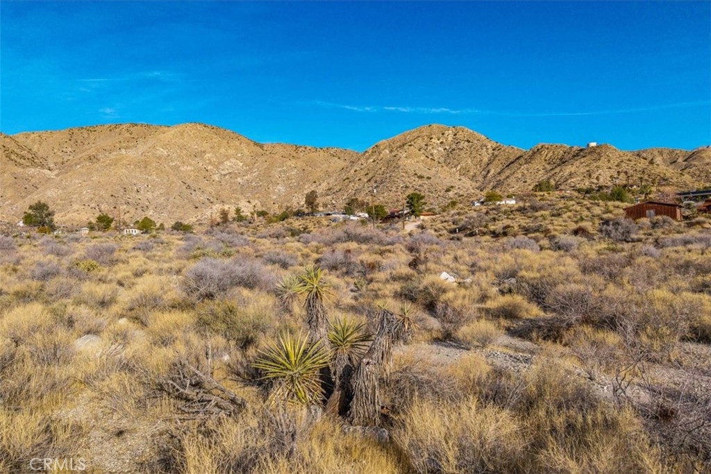 0 Palo Verde Road Morongo Valley, CA 92256 - Photo 2 of 41