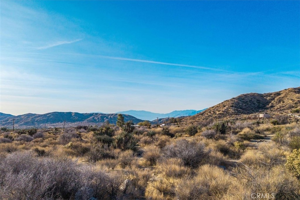 0 Palo Verde Road Morongo Valley, CA 92256 - Photo 4 of 41