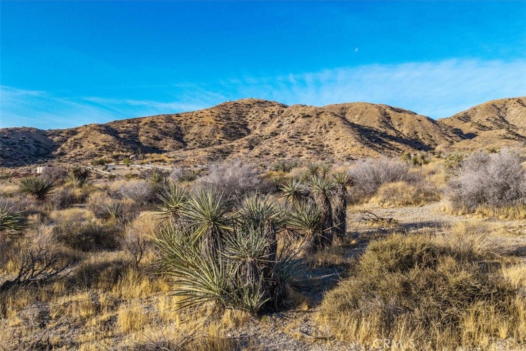 0 Palo Verde Road Morongo Valley, CA 92256 - Photo 5 of 41