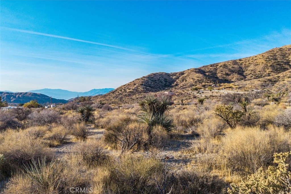 0 Palo Verde Road Morongo Valley, CA 92256 - Photo 6 of 41
