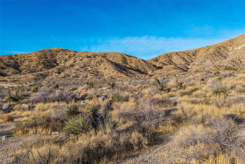 0 Palo Verde Road Morongo Valley, CA 92256 - Photo 7 of 41