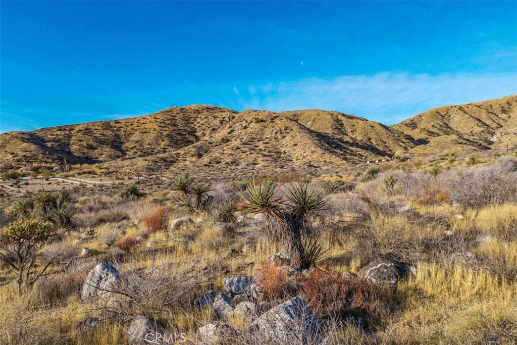 0 Palo Verde Road Morongo Valley, CA 92256 - Photo 8 of 41