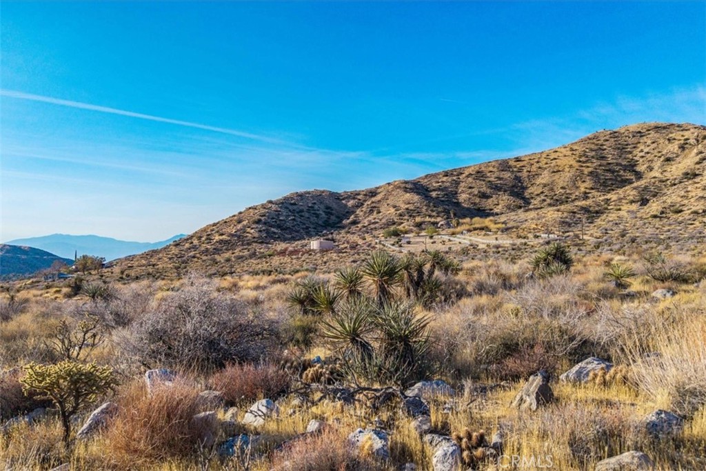 0 Palo Verde Road Morongo Valley, CA 92256 - Photo 9 of 41