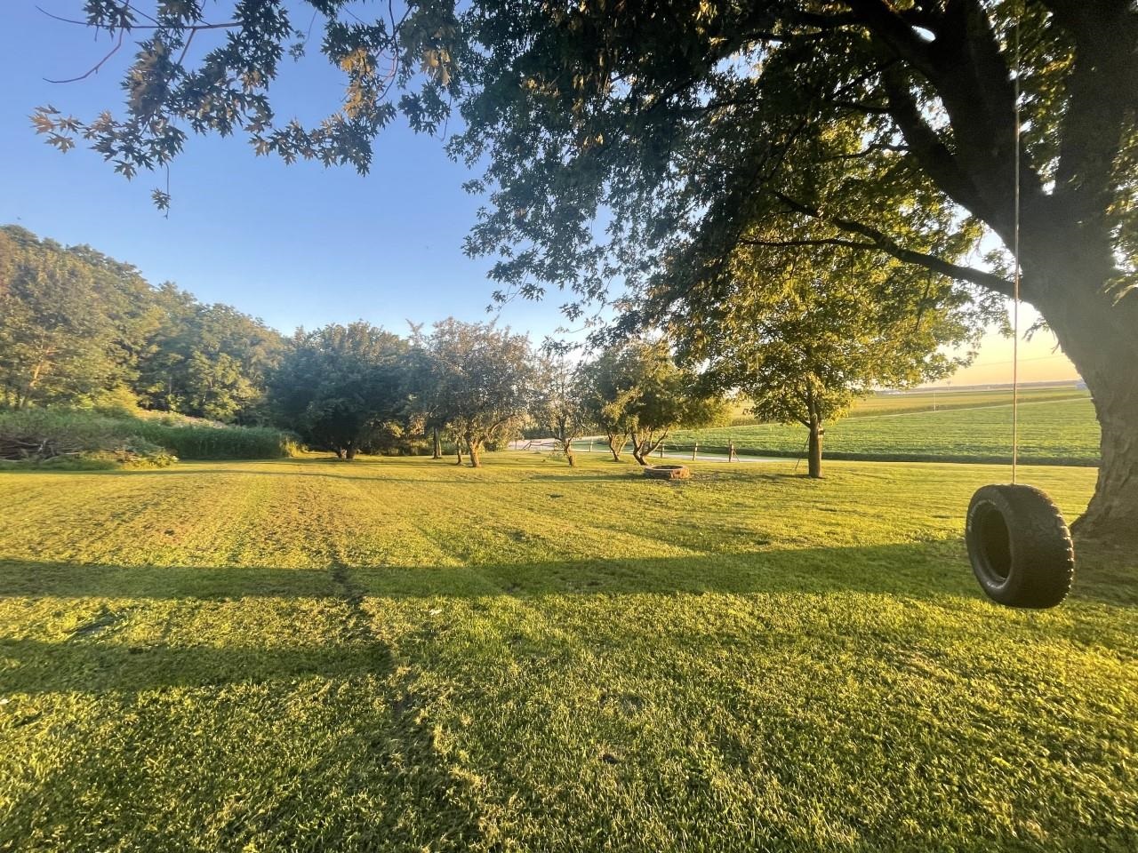 3669 Scenic Bluff Road Thomson, IL 61285 - Photo 29 of 38 a view of a yard with an trees