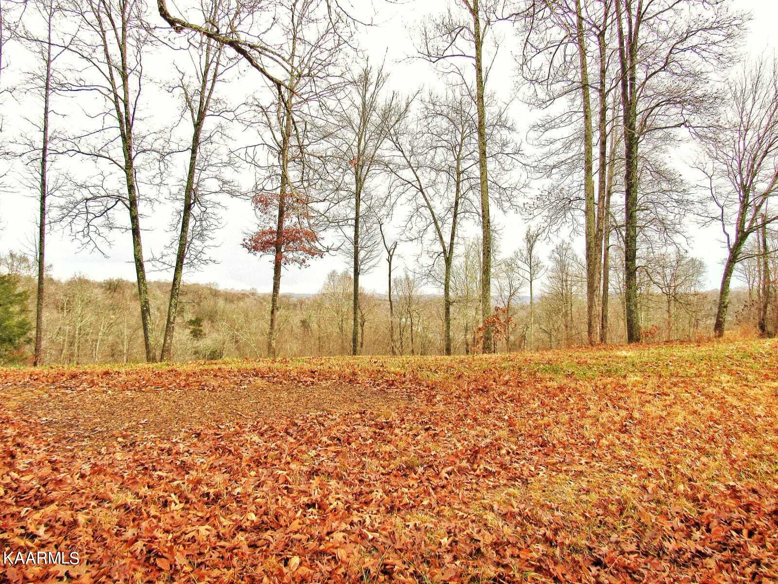 612 Prestige Ridge La Follette, TN 37766 - Photo 7 of 15 Lot View